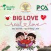 Mẫu Slide MS PowerPoint (.pptx) Khóa tu mùa hè 2025: Chủ đề Big Love - Real Love